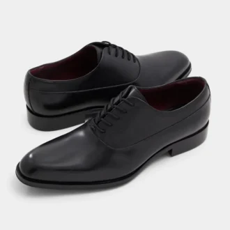 Elegant oxfordsko